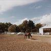 isabelle_horses